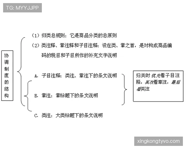 吕迪格与马格万防线结构分化偏向体系驱动