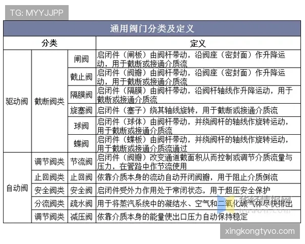 奥利塞战术角色依赖及体系适配性解析