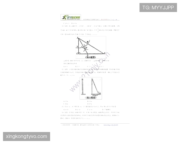 山东泰山阵容老化问题逐步显现，对赛季竞争稳定性形成考验